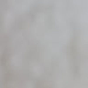 Meet your Posher, Luz